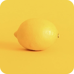 Fruit - Citrus - Lemon