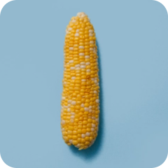 Savoury - Vegetables - Corn