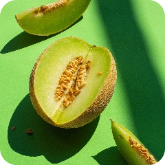 Fruit - Orchard Fruits - Melon