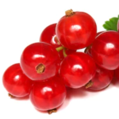 Fruit - Red Fruits - Red currant