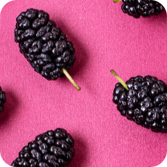 Fruit - Red Fruits - Mulberry