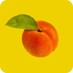 Fruit - Orchard Fruits - Apricot