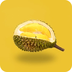 Fruit - Tropical Fruits - Durian