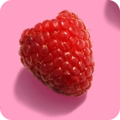 Fruit - Red Fruits - Raspberry