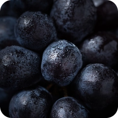 Fruit - Red Fruits - Black Currant