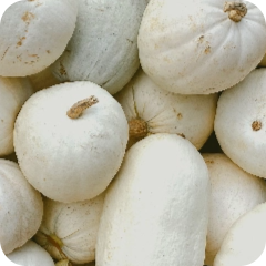 Fruit - Orchard Fruits - Winter Melon