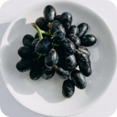 Fruit - Orchard Fruits - Concord Grape