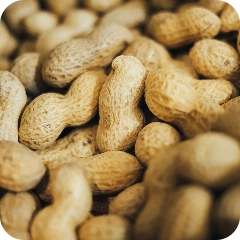  Warm - Nuts - Peanut