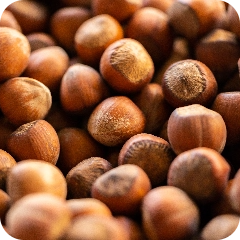  Warm - Nuts - Hazelnut