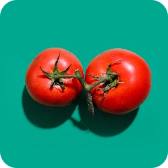 Savoury - Vegetables - Tomato