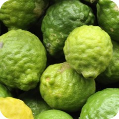 Fruit - Citrus - Bergamot