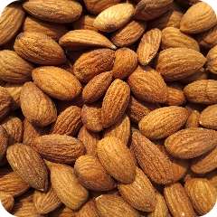  Warm - Nuts - Almond