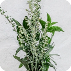 Floral & Spices - Herbs - Clary Sage