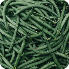 Savoury - Vegetables - Green Bean