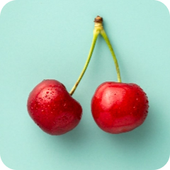 Fruit - Orchard Fruits - Cherry