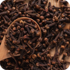 Floral & Spices - Spices - Clove